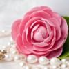 camelliagirls